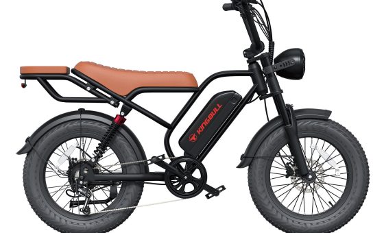 20x4 fat tire ebike