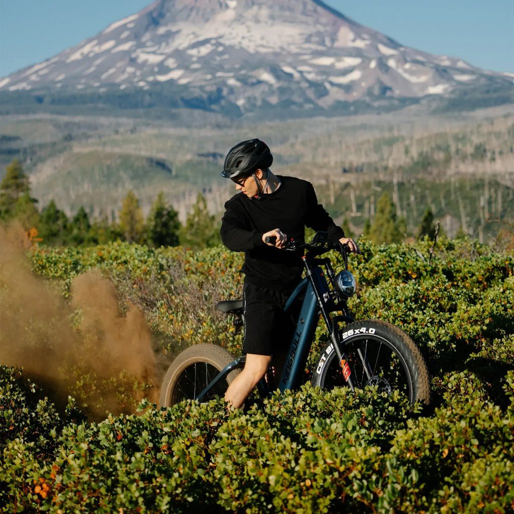 kingbull rover 2.0 review - Kingbull Rover 2.0 | All-Terrain Off-Road Electric Bike