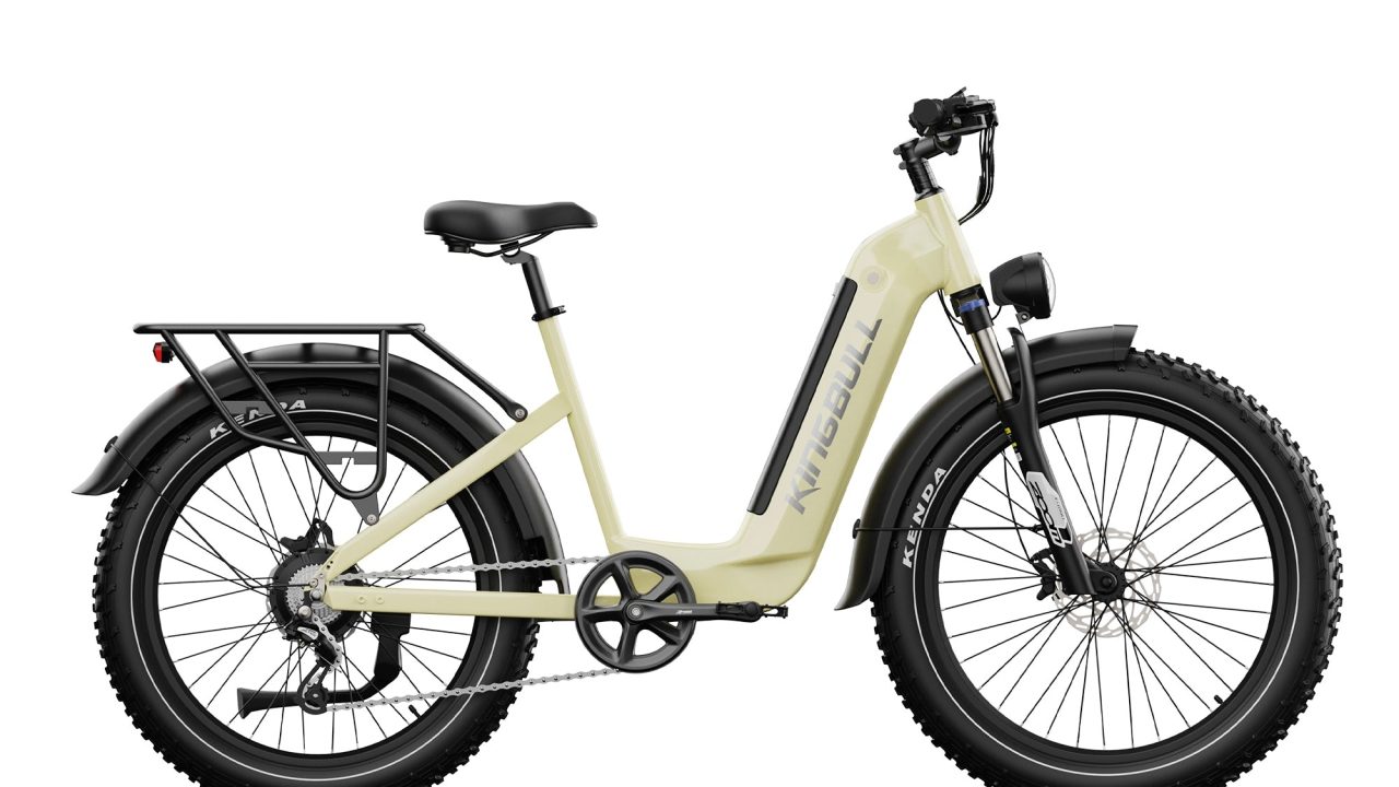 torque sensor ebike