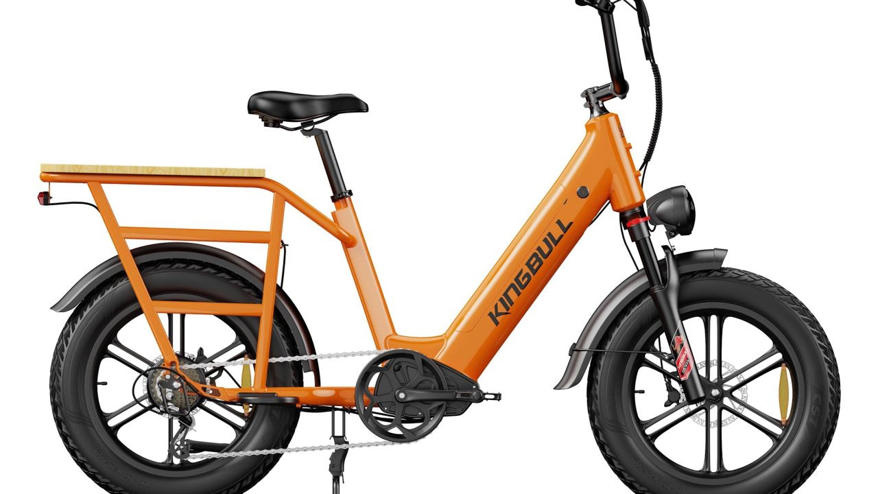 electric utility bike