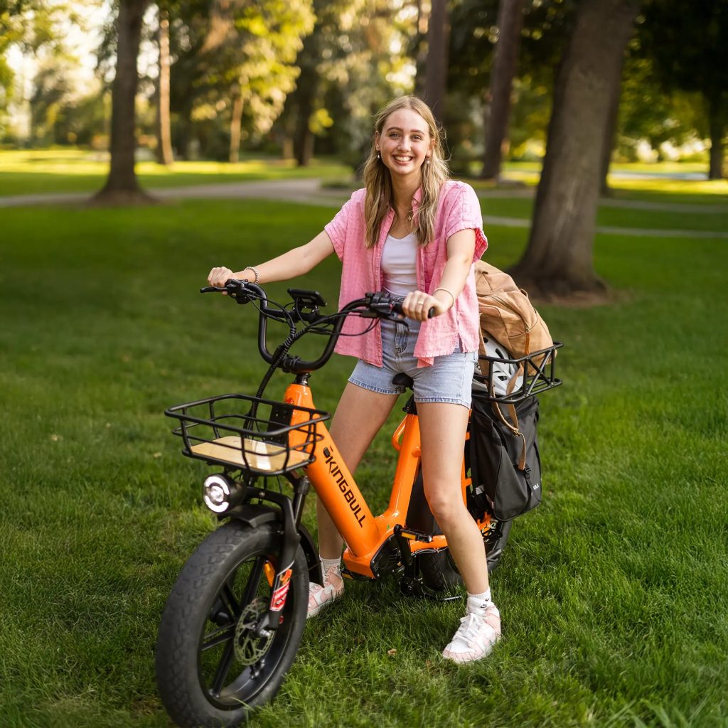 kingbull voyager 2.0 review - Kingbull Voyager 2.0 | Fat Tire Electric Cargo Bike